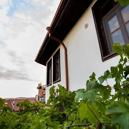 Zdravets, In The Heart Of The Old Weliko Tarnowo